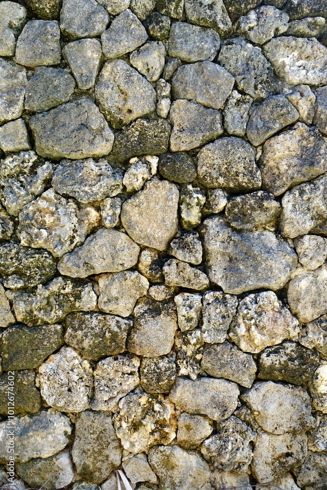 石垣島の石垣 石垣島の石垣