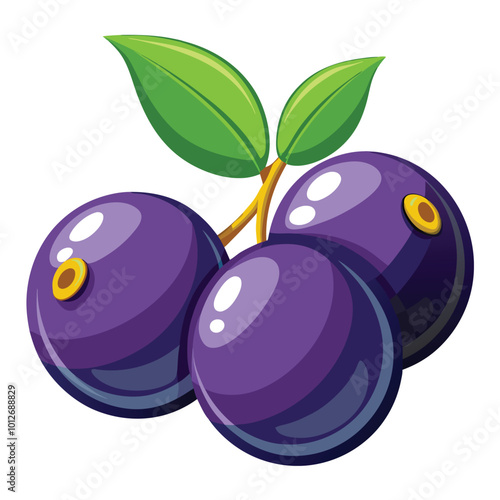 Jamun vector illustration isolated on a white background