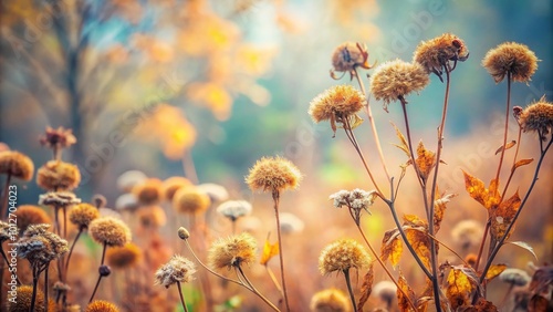 Forced perspective of withering autumn flowers and plants in pastel colors