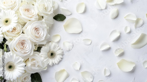White Roses and Petals on White Background