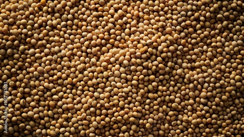 Background full of Soybean. Product photography. Soybean background.