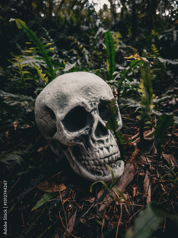 Halloween Skull, Mystery. Tropical background. Spooky time. Halloween Skull, Mystery. Tropical background. Spooky time.