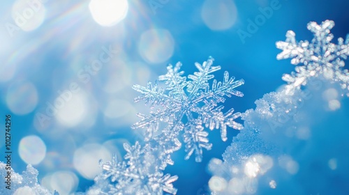 Close-up of a Delicate Snowflake