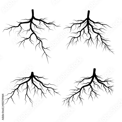 set of tree roots