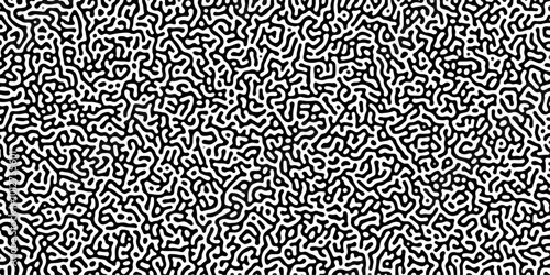 Turing reaction diffusion monochrome seamless pattern with chaotic motion .Linear design with biological shapes. Organic lines in memphis. abstract turing organic wallpaper background .	