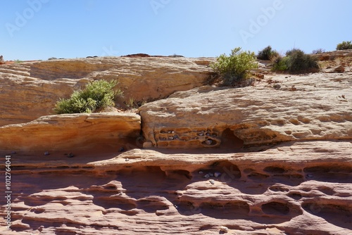 Photography Valley Of Fire Nevada