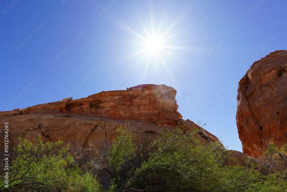 Obraz premium Valley Of Fire Nevada