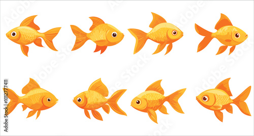 Colorful goldfish illustration. Set of goldfish vector. Aquarium decorative goldfish vector. Tropical goldfish vector collection. Set of aquarium fish vector