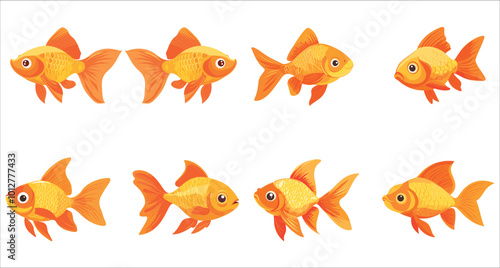 Colorful goldfish illustration. Set of goldfish vector. Aquarium decorative goldfish vector. Tropical goldfish vector collection. Set of aquarium fish vector