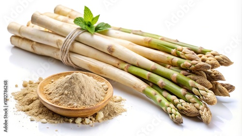 Freshly harvested shatavari roots and powder isolated on white background photo