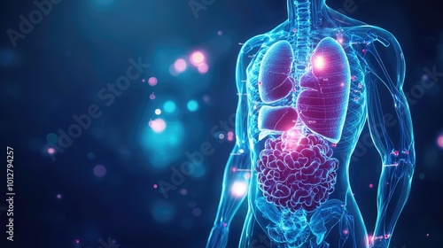 Detailed Anatomy of the Human Digestive System