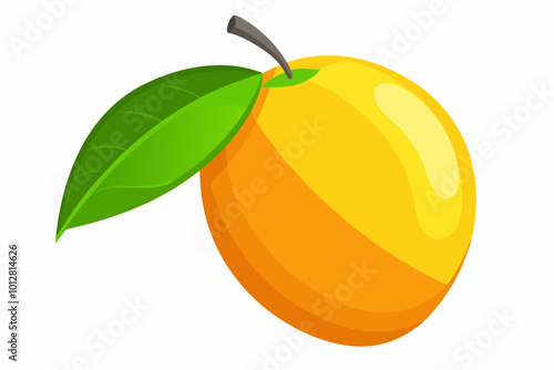 Mango fresh fruit vector art illustration photo