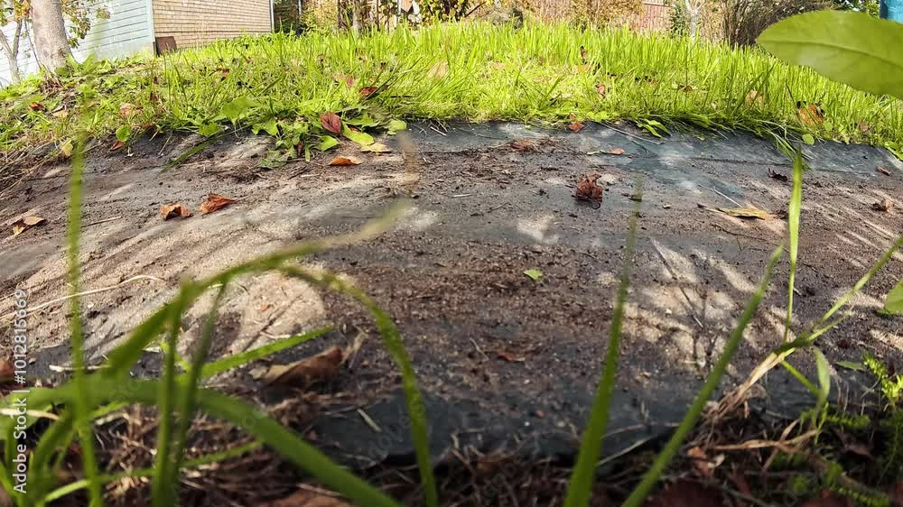 A broom sweeps dirt and fallen leaves from the garden. Cleaning the garden in autumn. Slow motion. A broom sweeps dirt and fallen leaves from the garden. Cleaning the garden in autumn. Slow motion.