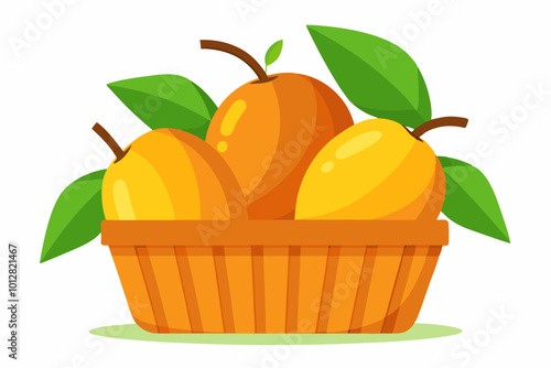 Mango fruit in basket vector art illustration