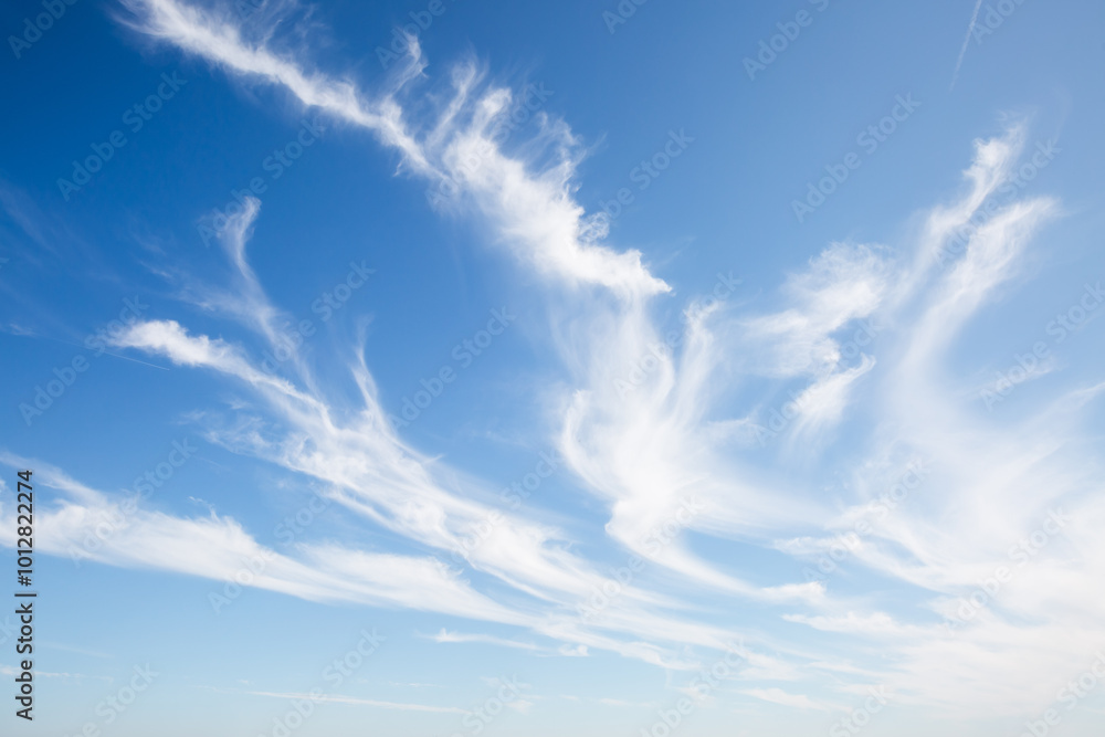 Magnificent sky background with white cirrus clouds on a sunny day. Magnificent sky background with white cirrus clouds on a sunny day.