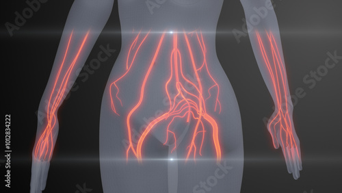 Photos Future X-Ray Human Brain and Nerve Examination