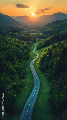 Top drone view of road in woods. Beautiful landscape with roadway in hills, pine trees, meadows, golden sunlight in fall. Travel