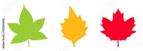 autumn leaf icon