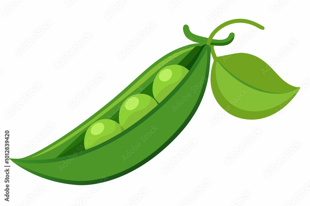Pea frui with green leaf vegetable item vector art illustration Pea frui with green leaf vegetable item vector art illustration