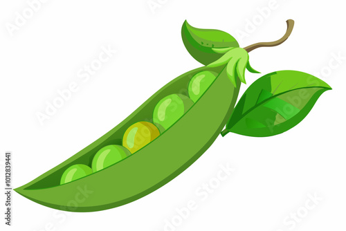 Pea frui with green leaf vegetable item vector art illustration