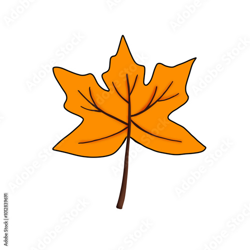 Leaf
