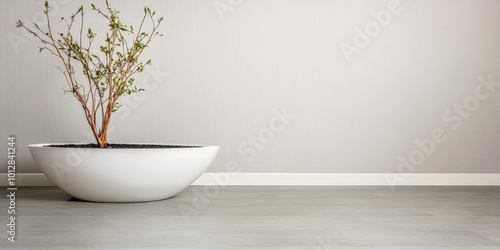 Minimalist indoor planter with a small plant against a neutral wall in a modern living space