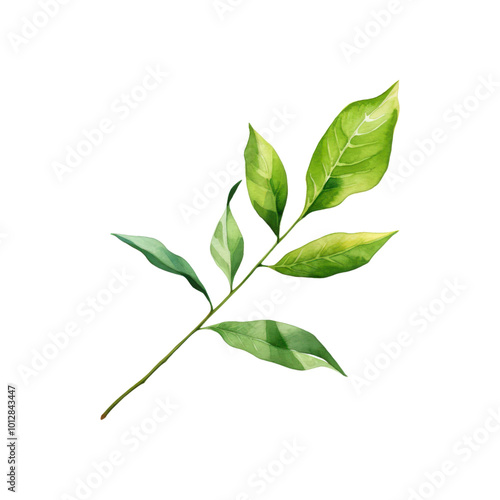 Green leaf branch watercolor painting is perfect for nature themed designs, botanical prints, eco friendly branding, and organic product packaging. Generative AI