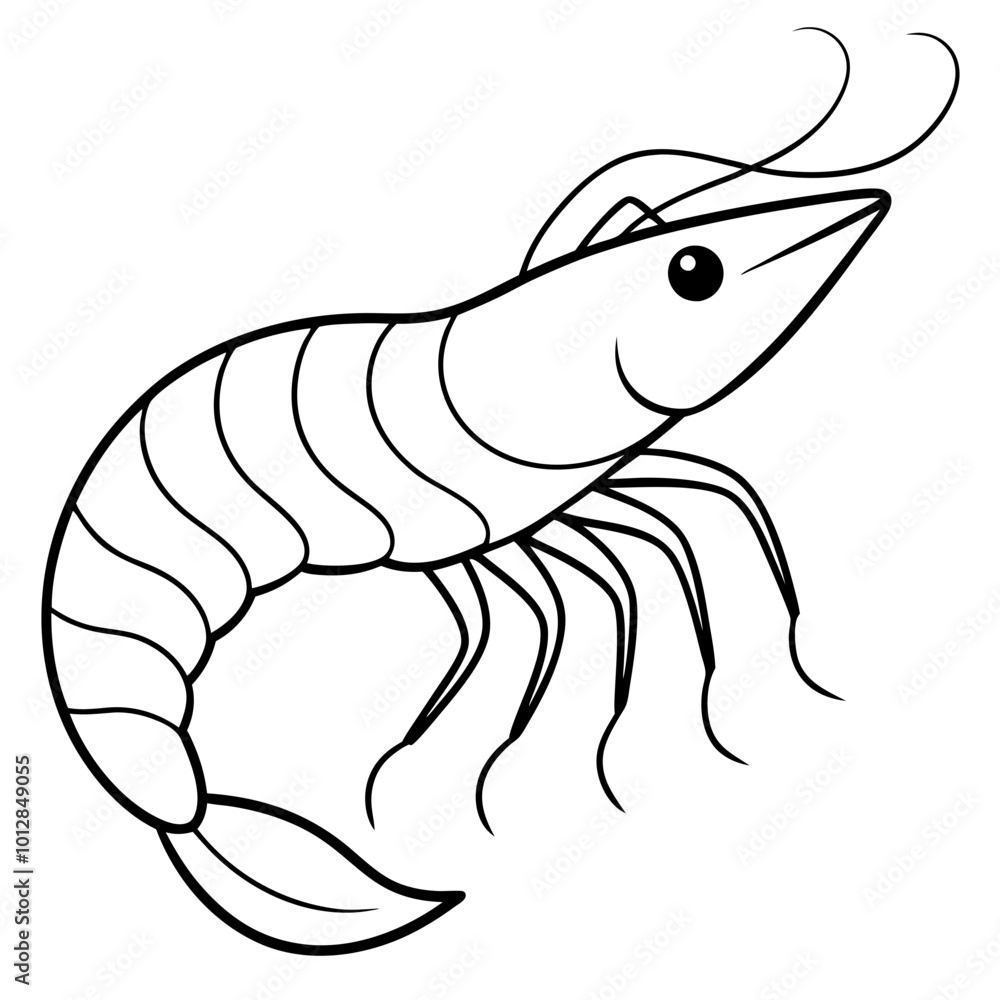 Fototapeta premium shrimp illustration
