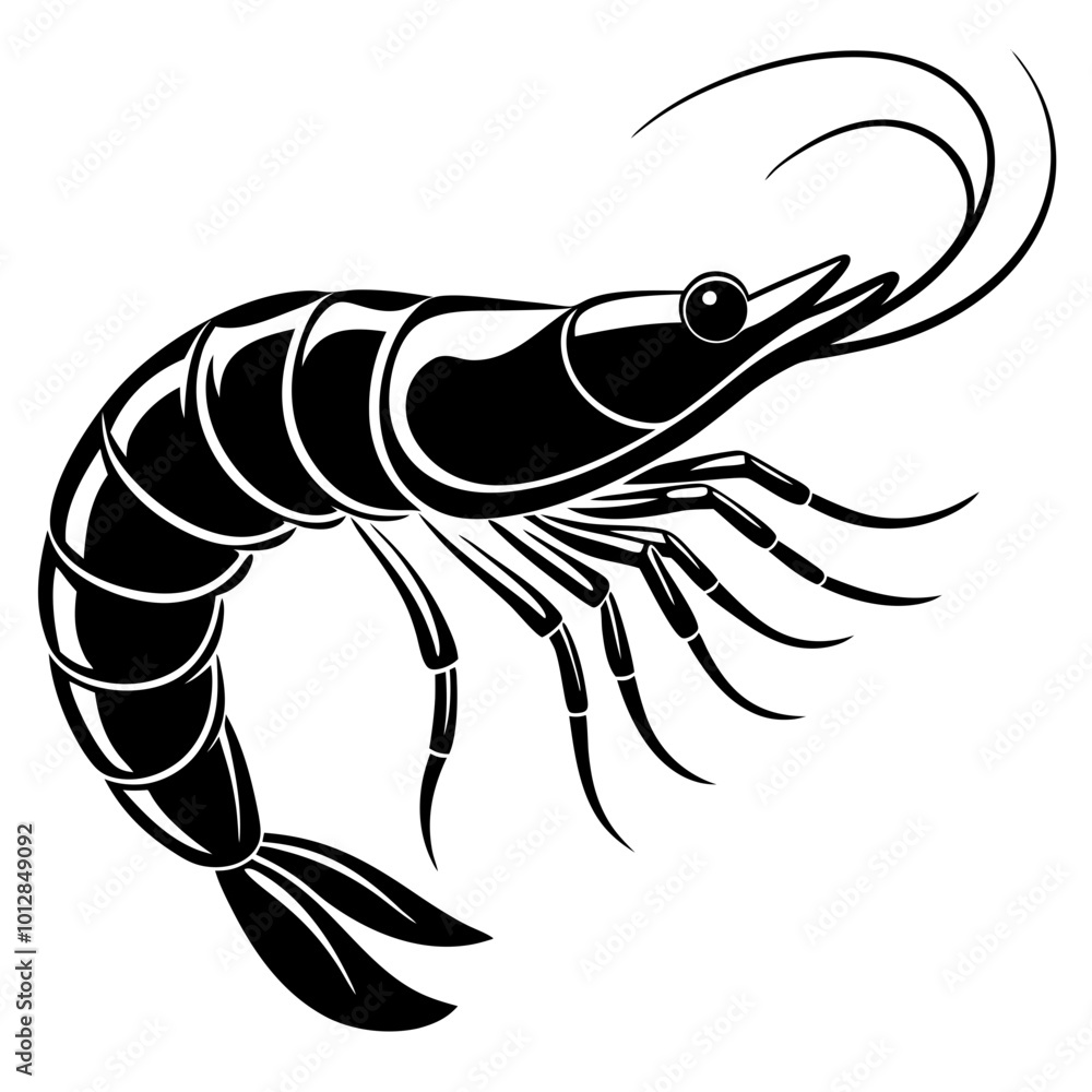 fish illustration fish illustration