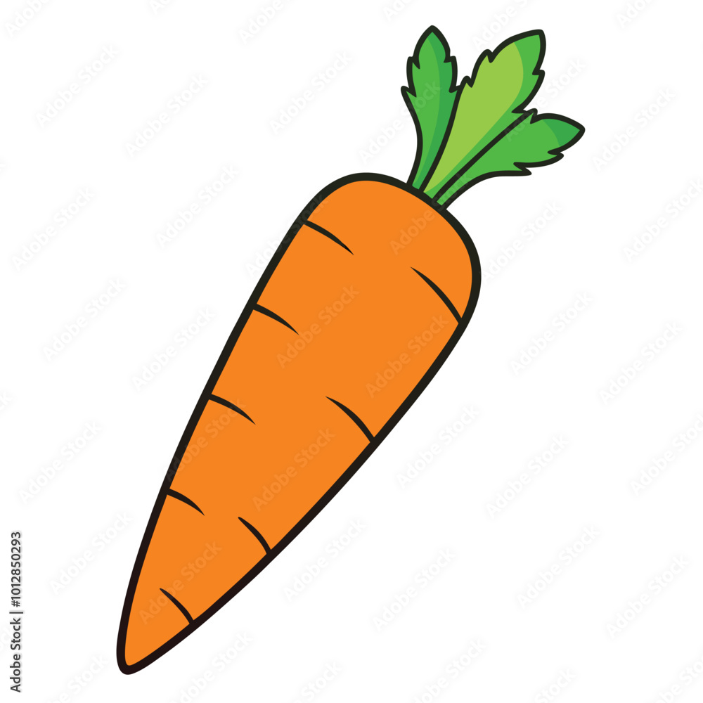 carrot vector. carrot vector.