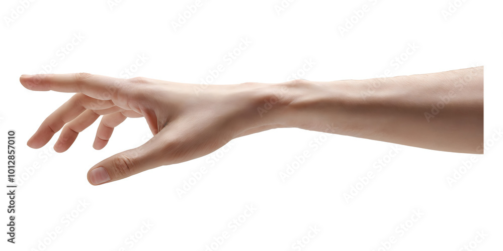Human Hand Reaching Out Isolated on a Transparent Background Human Hand Reaching Out Isolated on a Transparent Background