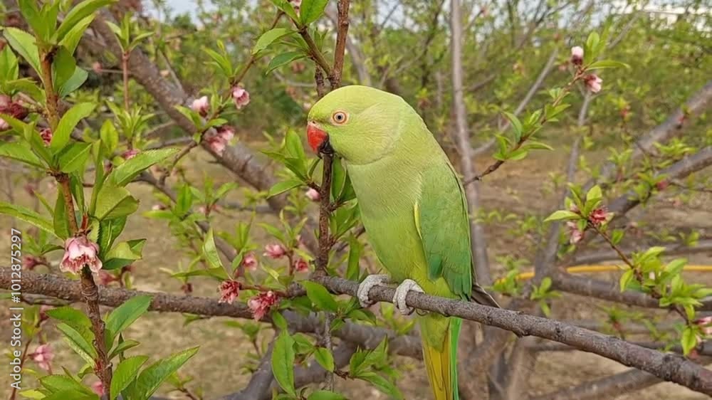 A vibrant green parrot perched on a branch adorned with colorful flowers, showcasing nature's beauty. A vibrant green parrot perched on a branch adorned with colorful flowers, showcasing nature's beauty.