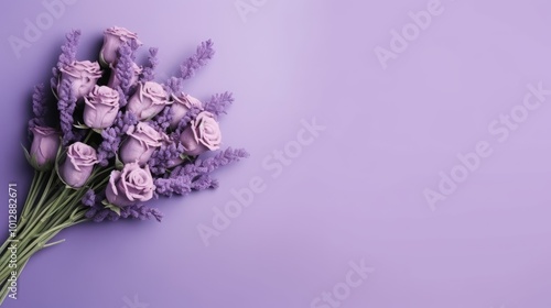 High angle view of daisy flowers with copy sapce on lavendar backdrope.