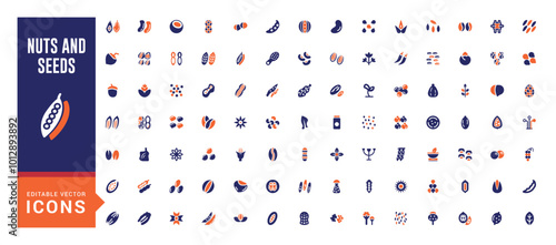Nuts, seeds icon set. Solid two tone color style icons. Plant based diet ingredients. Solid Nuts icon collection.