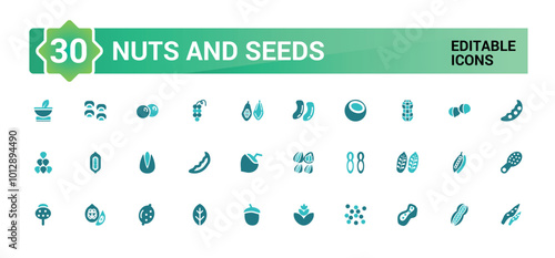 Nuts, seeds icon set. Solid two tone color style icons. Plant based diet ingredients. Solid Nuts icon collection.