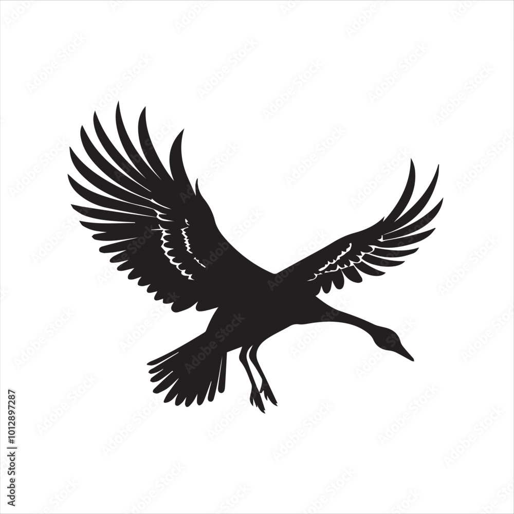 Fototapeta premium black swan on white,swan, bird, animal, vector, illustration, water, silhouette, symbol, love, lake, nature, art, duck, birds, cartoon, drawing, feather, black, beak, icon, design, wing, swimming, swa