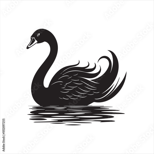 black swan on white,swan, bird, animal, vector, illustration, water, silhouette, symbol, love, lake, nature, art, duck, birds, cartoon, drawing, feather, black, beak, icon, design, wing, swimming, swa