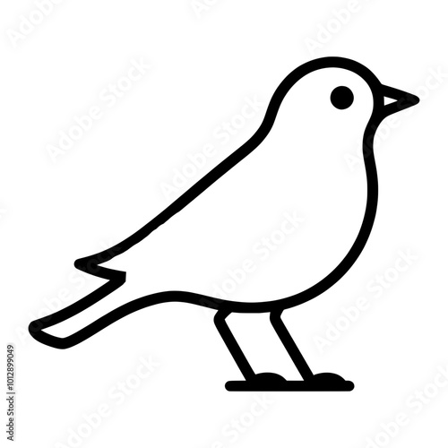 illustration of a pigeon