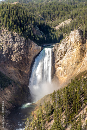 The Lower Yellowstone Falls  in the Yellowstone National Park, USA