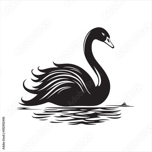 black swan on white,swan, bird, animal, vector, illustration, water, silhouette, symbol, love, lake, nature, art, duck, birds, cartoon, drawing, feather, black, beak, icon, design, wing, swimming, swa