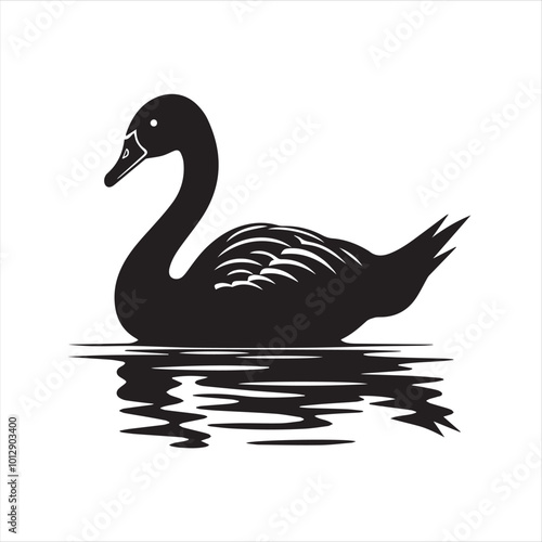 black swan on white,swan, bird, animal, vector, illustration, water, silhouette, symbol, love, lake, nature, art, duck, birds, cartoon, drawing, feather, black, beak, icon, design, wing, swimming, swa