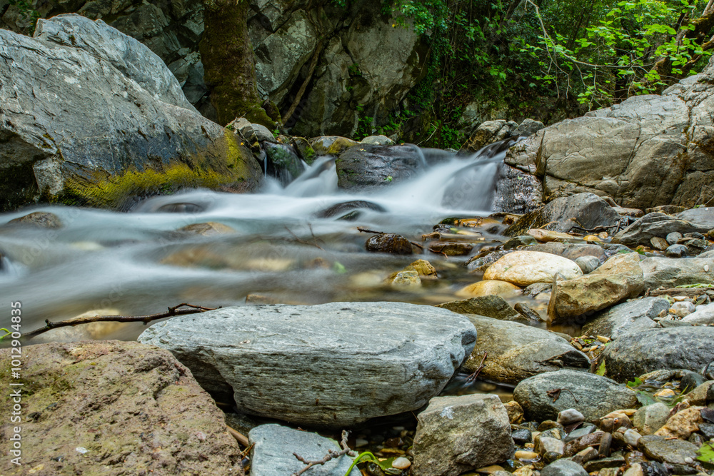 Fototapeta premium waterfall in the forest