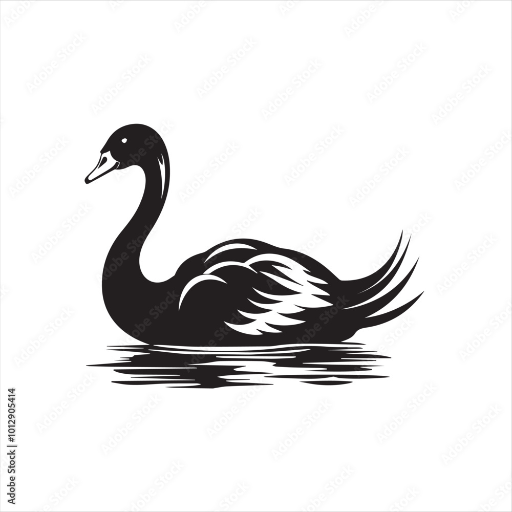 black swan on white background black swan on white background