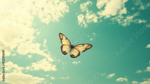 Wallpaper Mural Butterfly in Flight Against Blue Sky Torontodigital.ca