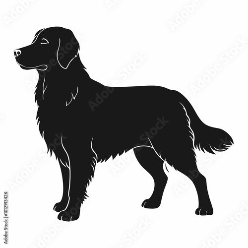 Hand-drawn golden retriever dog silhouette