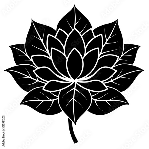 black and white flower vector silhouette on white background