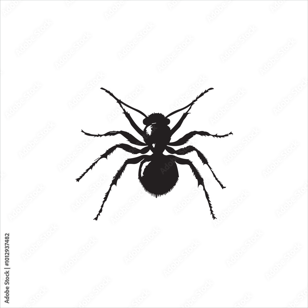 ant, insect, macro, nature, animal, bug, black, closeup, ants, isolated, small, antenna, spider, leaf, formica, leg, white, close-up, close up, jaw, garden, red, fauna ant, insect, macro, nature, animal, bug, black, closeup, ants, isolated, small, antenna, spider, leaf, formica, leg, white, close-up, close up, jaw, garden, red, fauna