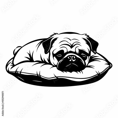 Cute pug dog sleeping on the pillow image vector, illustration, icon, isolated on white background.