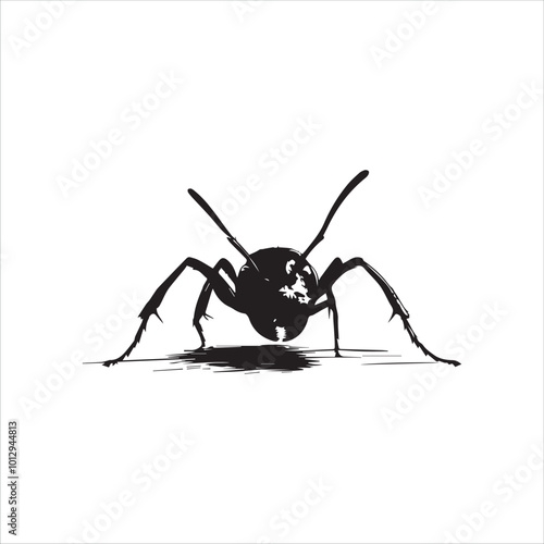 ant isolated on white background