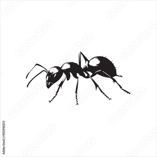 ant isolated on white background